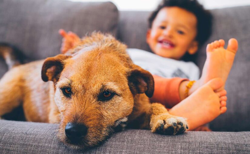 Why Dogs Are So Important To Children’s Upbringing